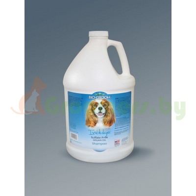 Bio-Groom - Indulge Sulfate-Free Argan Oil Shampoo, 3,78 л